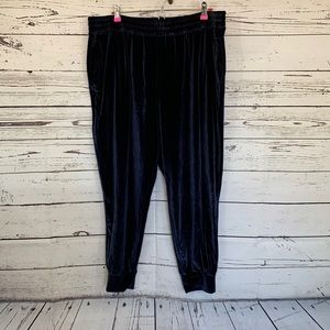 NWT Fabletics Navy Blue Daria Velour Jogger Size 1X